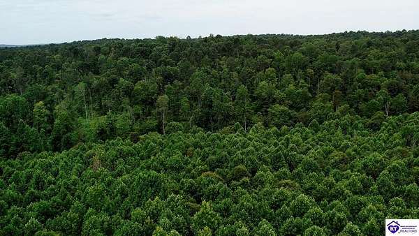 51.5 Acres of Recreational Land for Sale in Cromwell, Kentucky