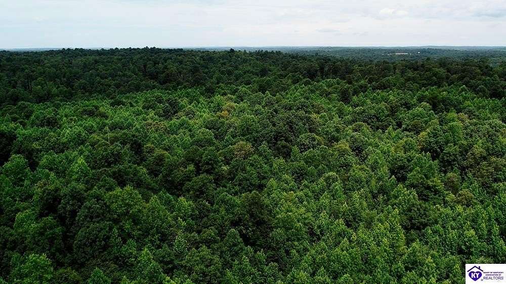 60.3 Acres of Recreational Land for Sale in Cromwell, Kentucky