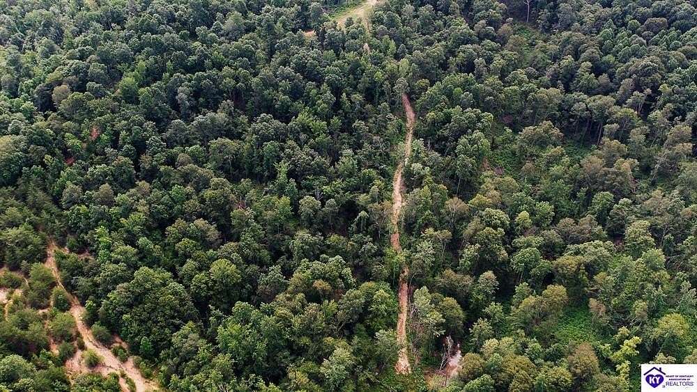 49.3 Acres of Recreational Land for Sale in Cromwell, Kentucky