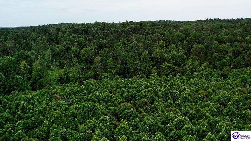 56.3 Acres of Recreational Land for Sale in Cromwell, Kentucky