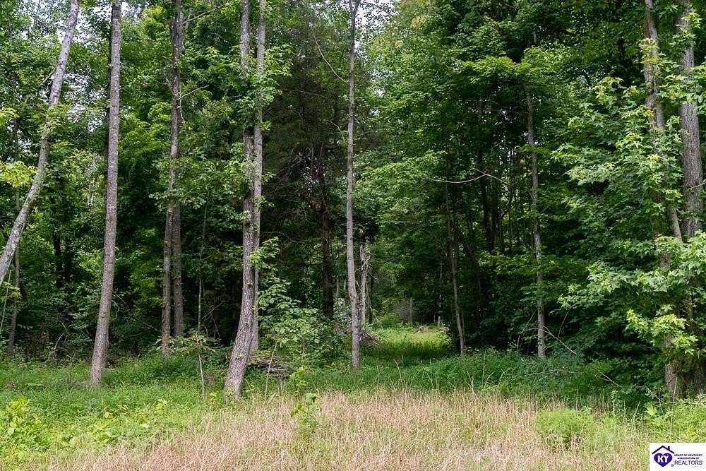 83.7 Acres of Recreational Land for Sale in Cromwell, Kentucky