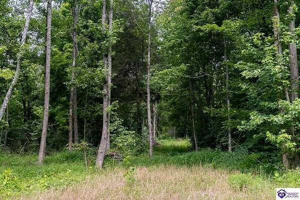 83.7 Acres of Recreational Land for Sale in Cromwell, Kentucky