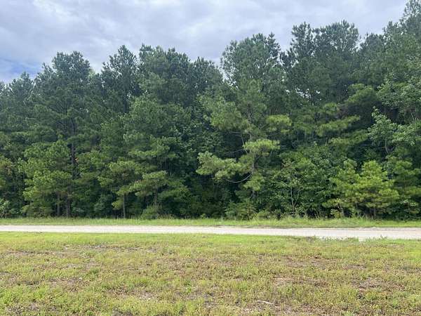 6.1 Acres of Land for Sale in Manning, South Carolina