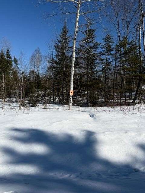 9.8 Acres of Residential Land for Sale in Castle Hill Town, Maine