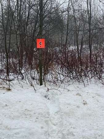 9.8 Acres of Residential Land for Sale in Castle Hill Town, Maine