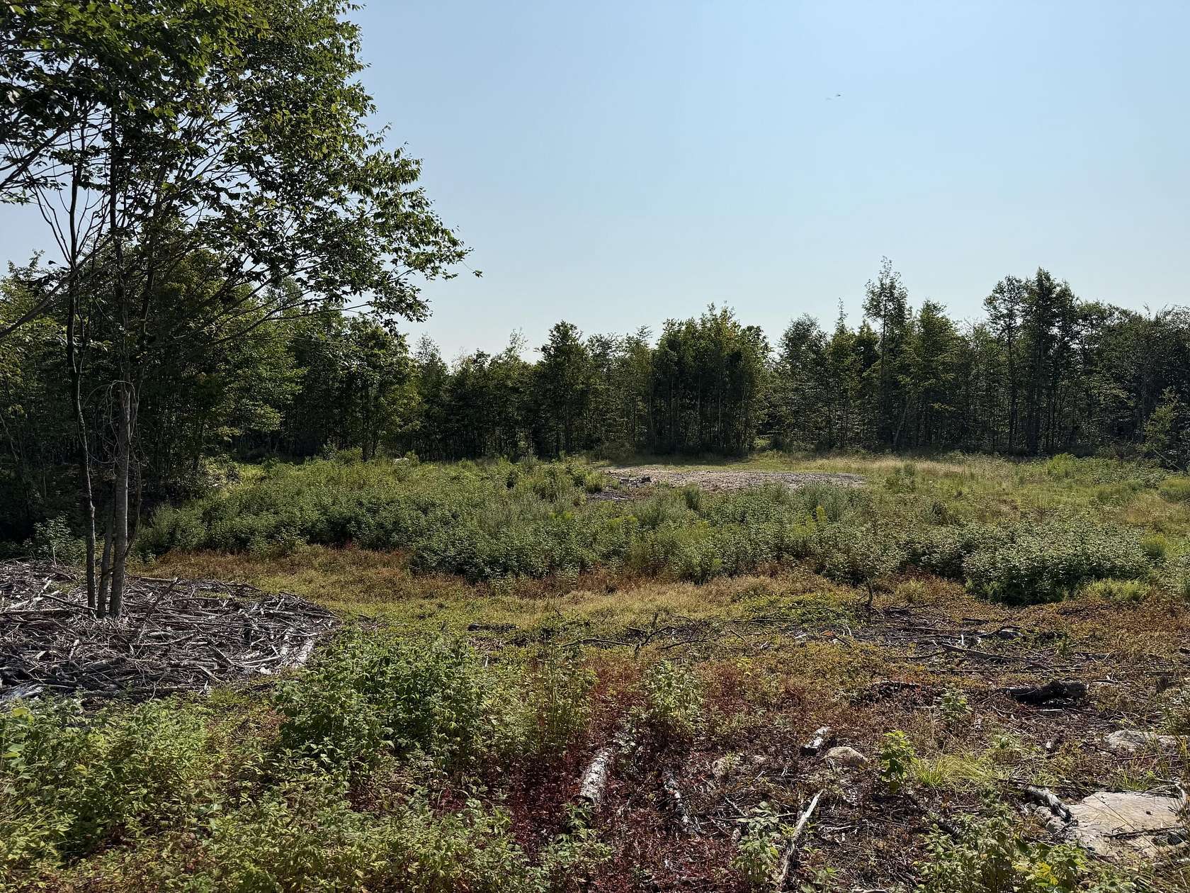 200 Acres of Recreational Land for Sale in Springfield, Maine