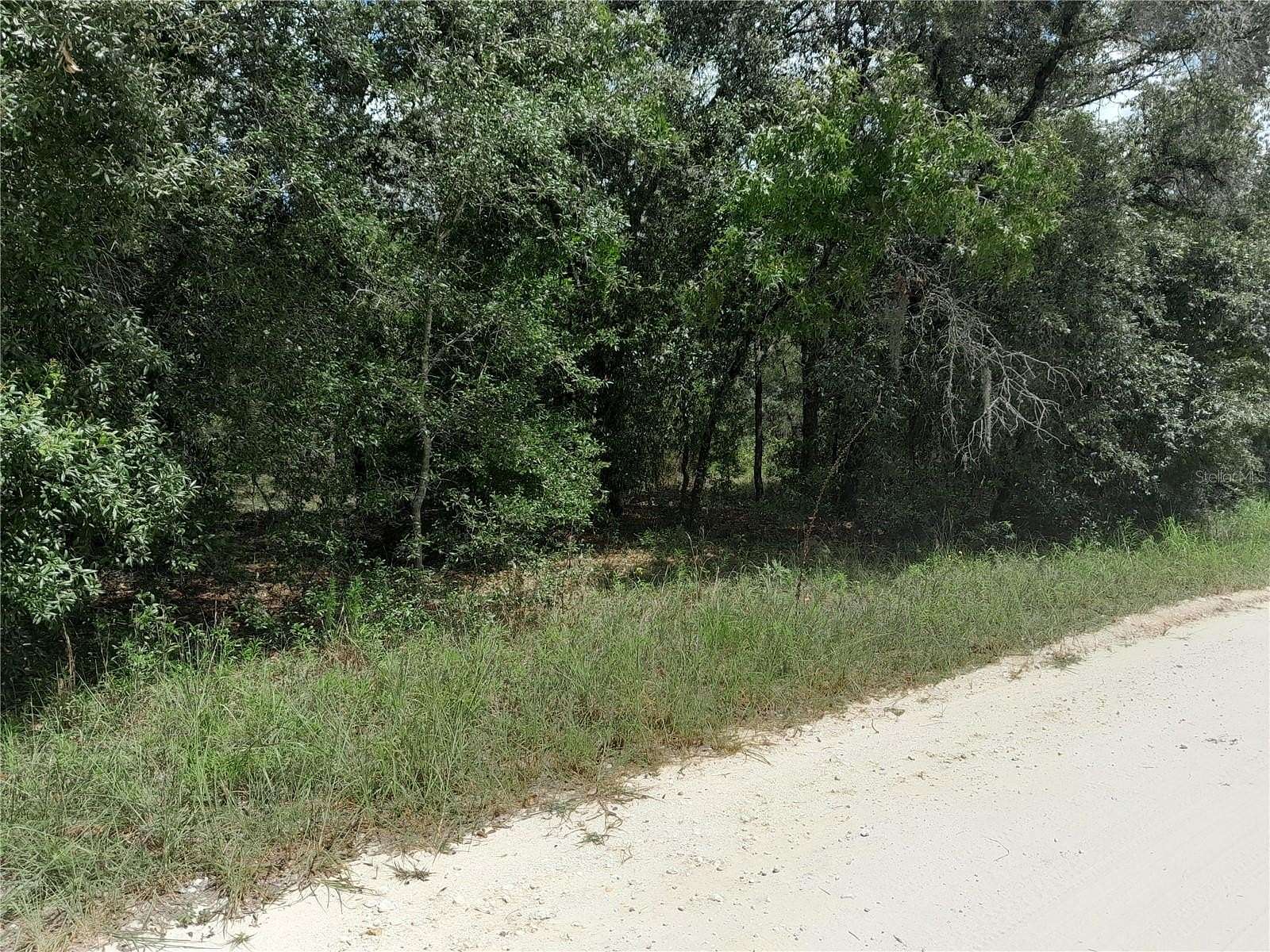 1.25 Acres of Residential Land for Sale in Williston, Florida