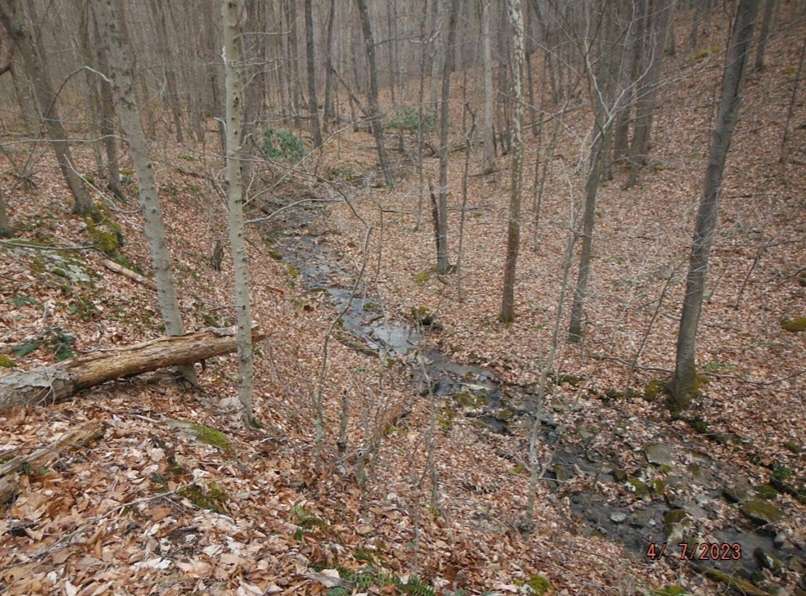 17.8 Acres of Land for Sale in Grafton, West Virginia