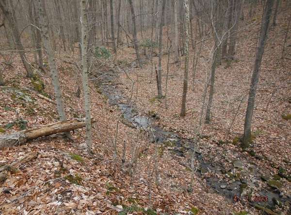 17.8 Acres of Land for Sale in Grafton, West Virginia