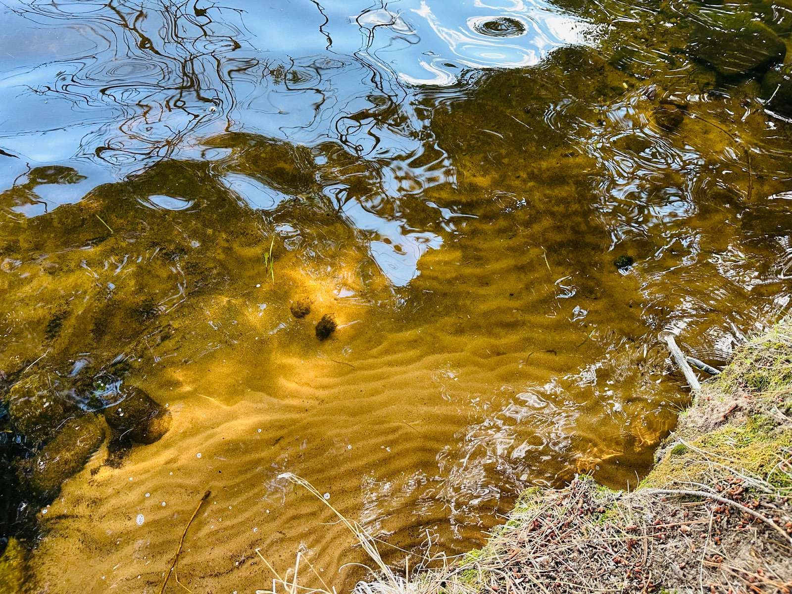 2.63 Acres of Land for Sale in Boulder Junction, Wisconsin