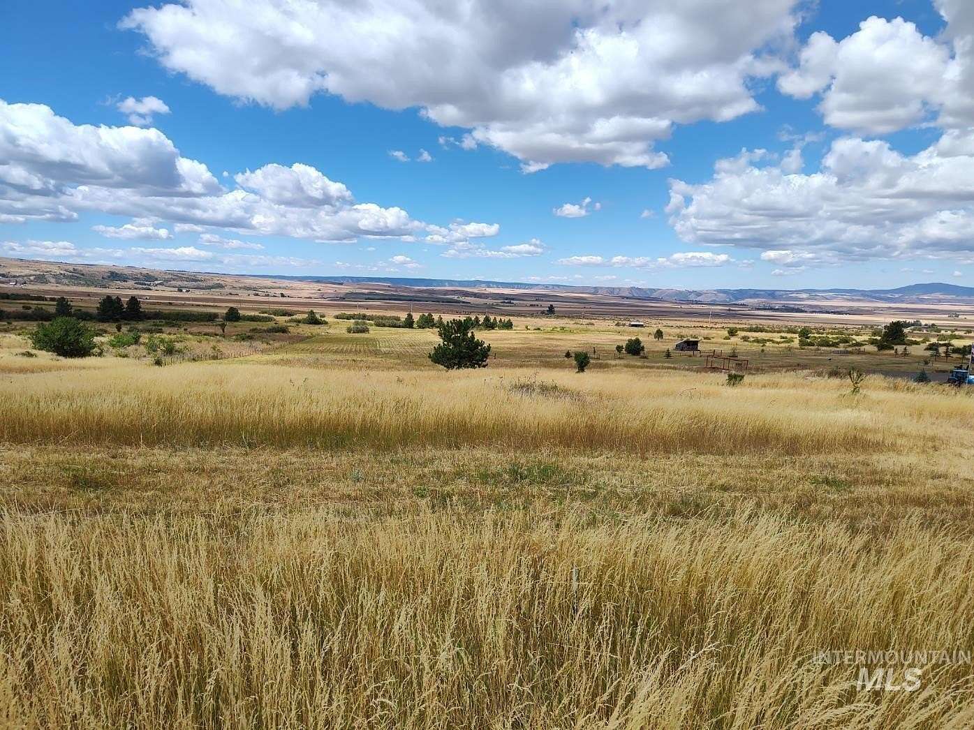 5 Acres of Residential Land for Sale in Grangeville, Idaho