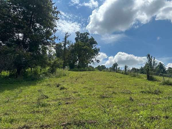 5 Acres of Agricultural Land for Sale in Leicester, North Carolina