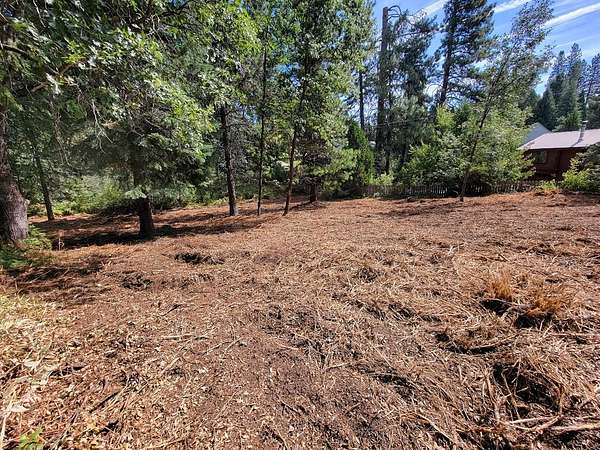 0.3 Acres of Residential Land for Sale in McCloud, California