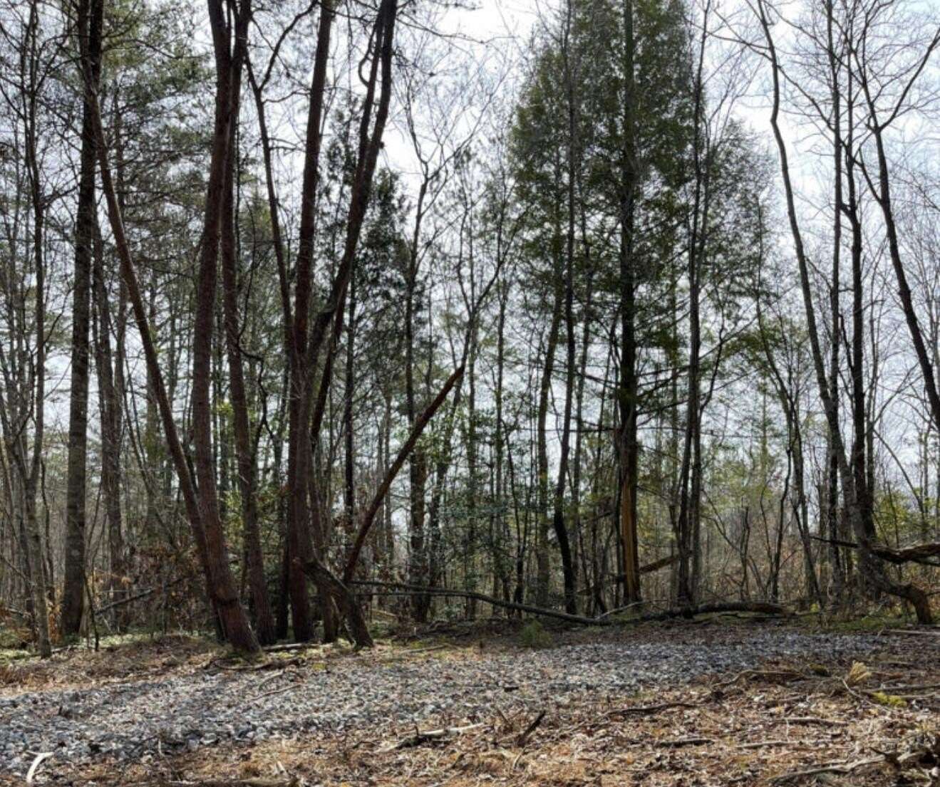 12.8 Acres of Recreational Land for Sale in Williamsburg, Kentucky