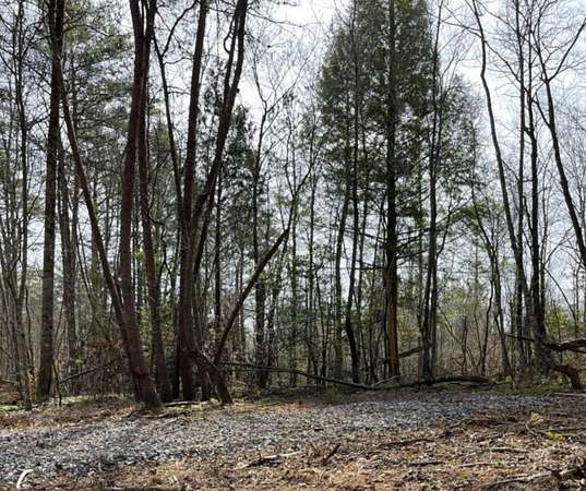 12.8 Acres of Recreational Land for Sale in Williamsburg, Kentucky