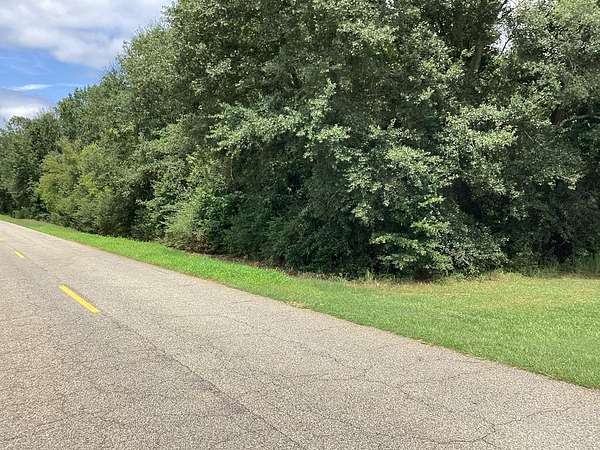 3.24 Acres of Residential Land for Sale in Headland, Alabama