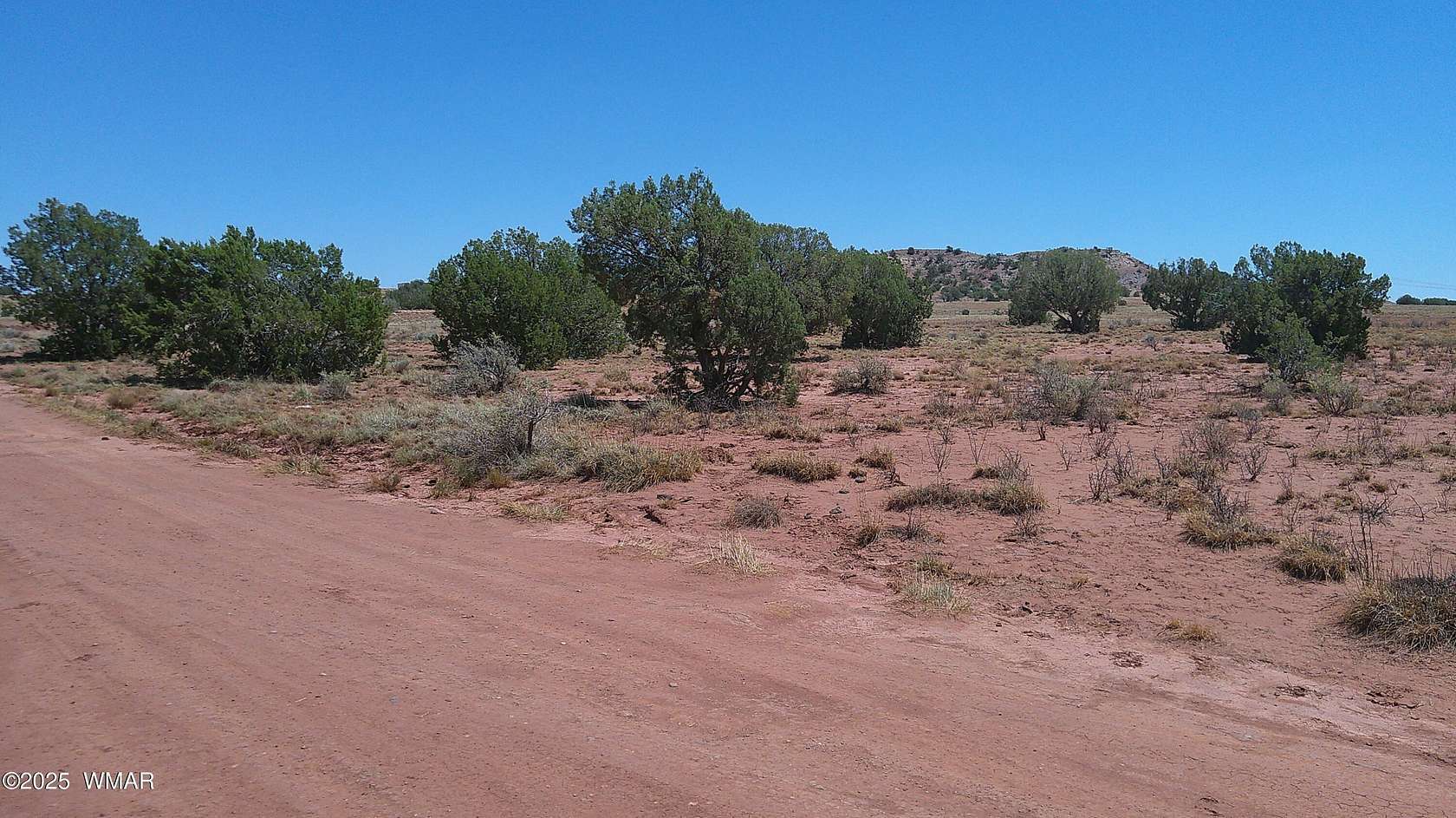 10 Acres of Residential Land for Sale in Concho, Arizona