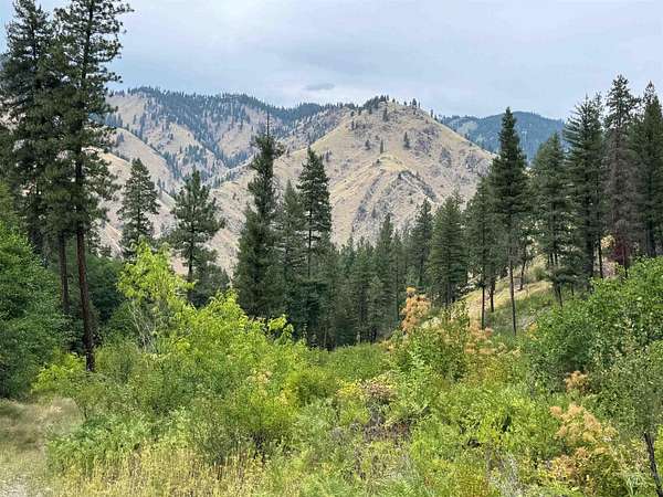 16 Acres of Recreational Land for Sale in Riggins, Idaho