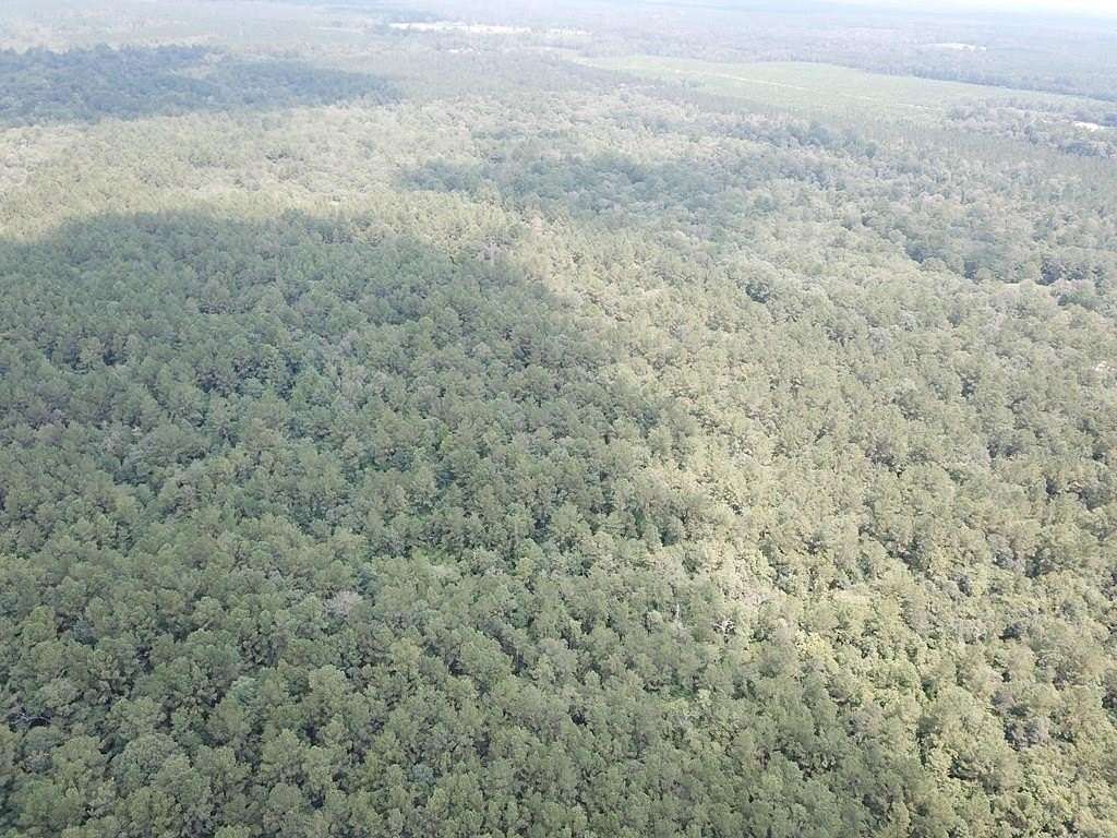 60 Acres of Land for Sale in Kirbyville, Texas