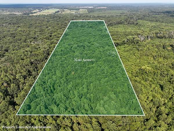 32.6 Acres of Recreational Land for Sale in Center, Texas