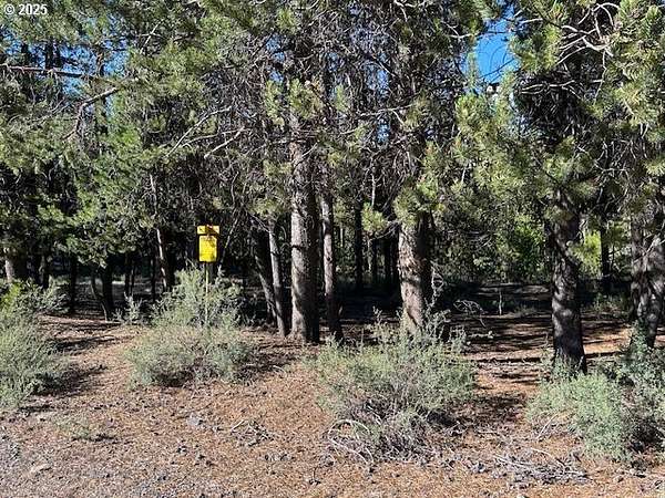 1.6 Acres of Residential Land for Sale in Crescent, Oregon