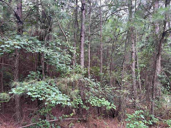 0.24 Acres of Residential Land for Sale in Lake City, South Carolina
