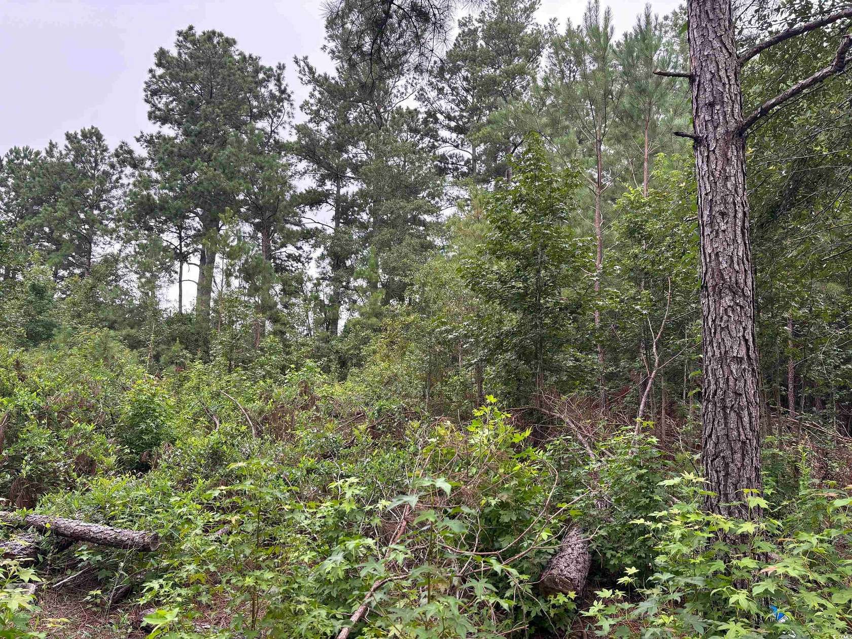 0.24 Acres of Residential Land for Sale in Lake City, South Carolina