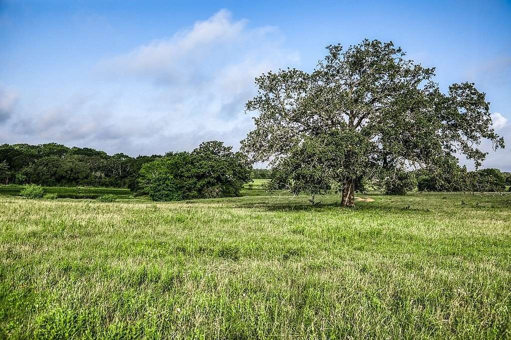 10.5 Acres of Agricultural Land for Sale in Round Top, Texas