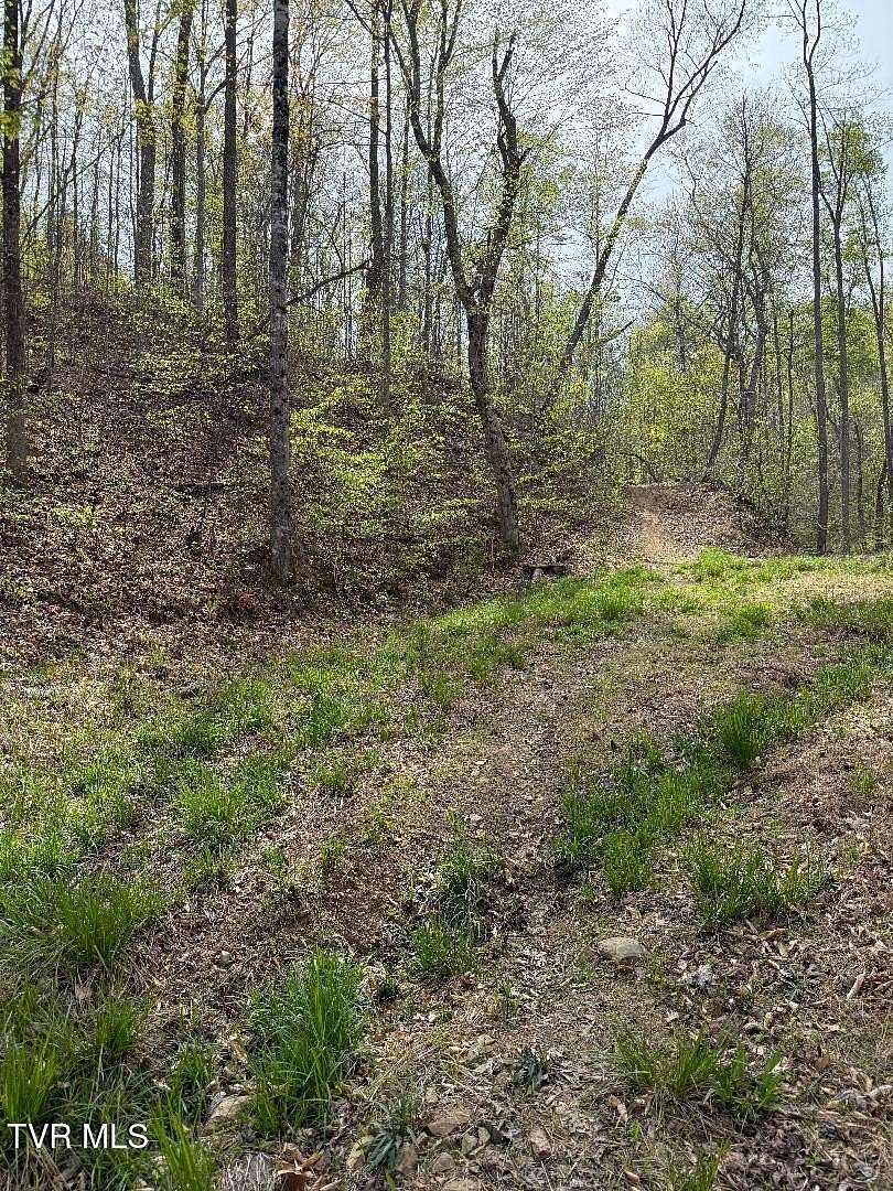 13.5 Acres of Land for Sale in Rogersville, Tennessee