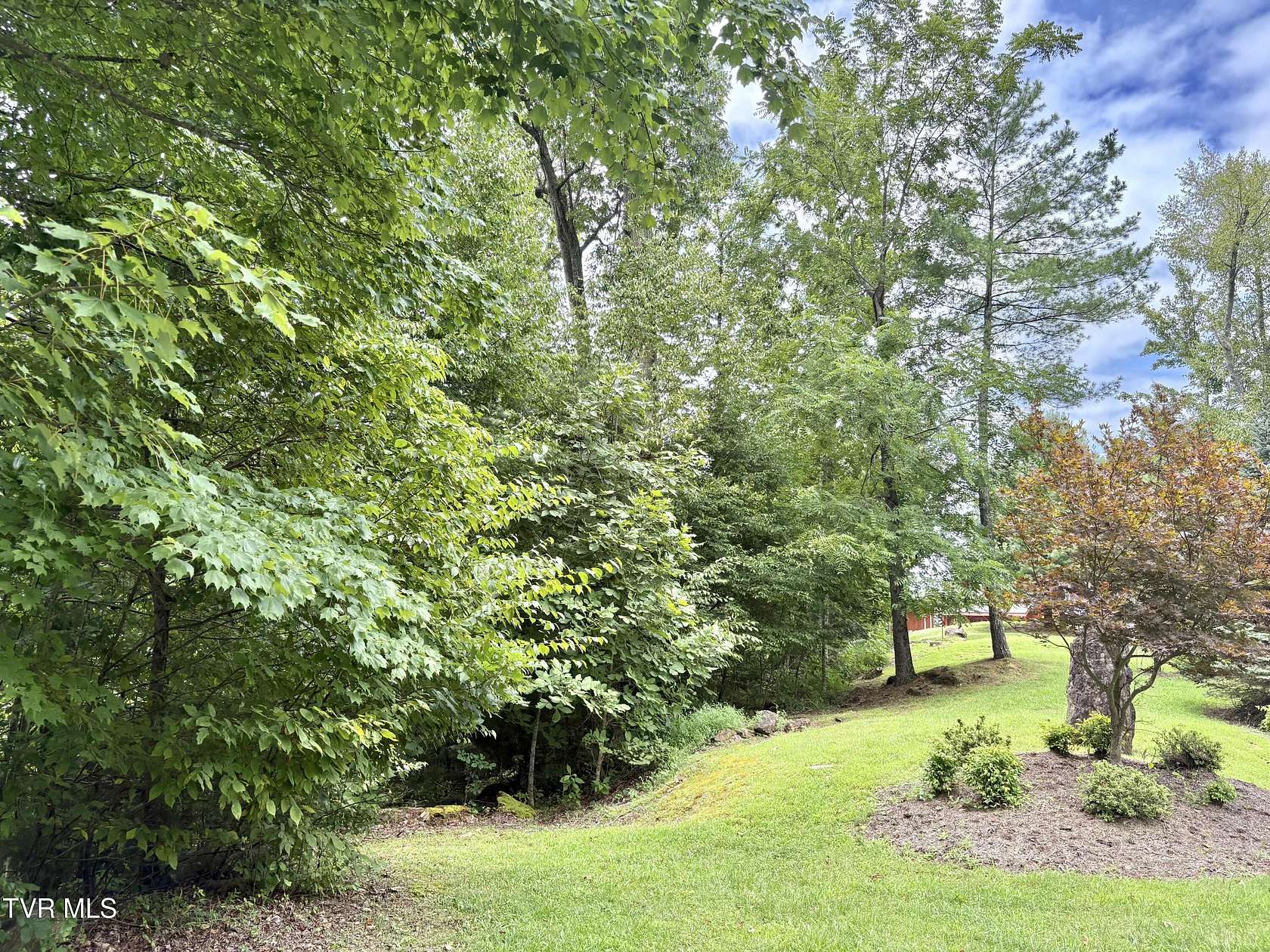 1.1 Acres of Residential Land for Sale in Butler, Tennessee