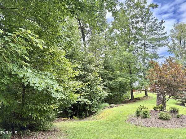 1.1 Acres of Residential Land for Sale in Butler, Tennessee