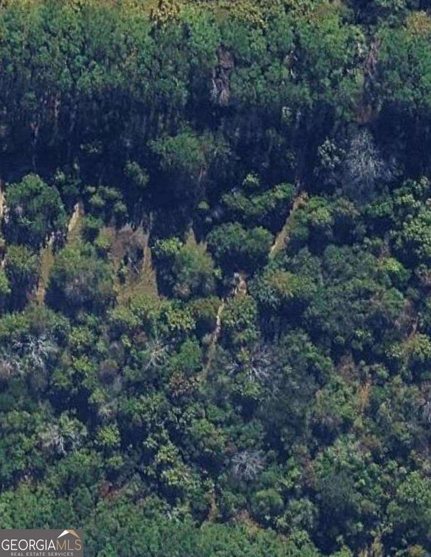 0.71 Acres of Residential Land for Sale in Cochran, Georgia