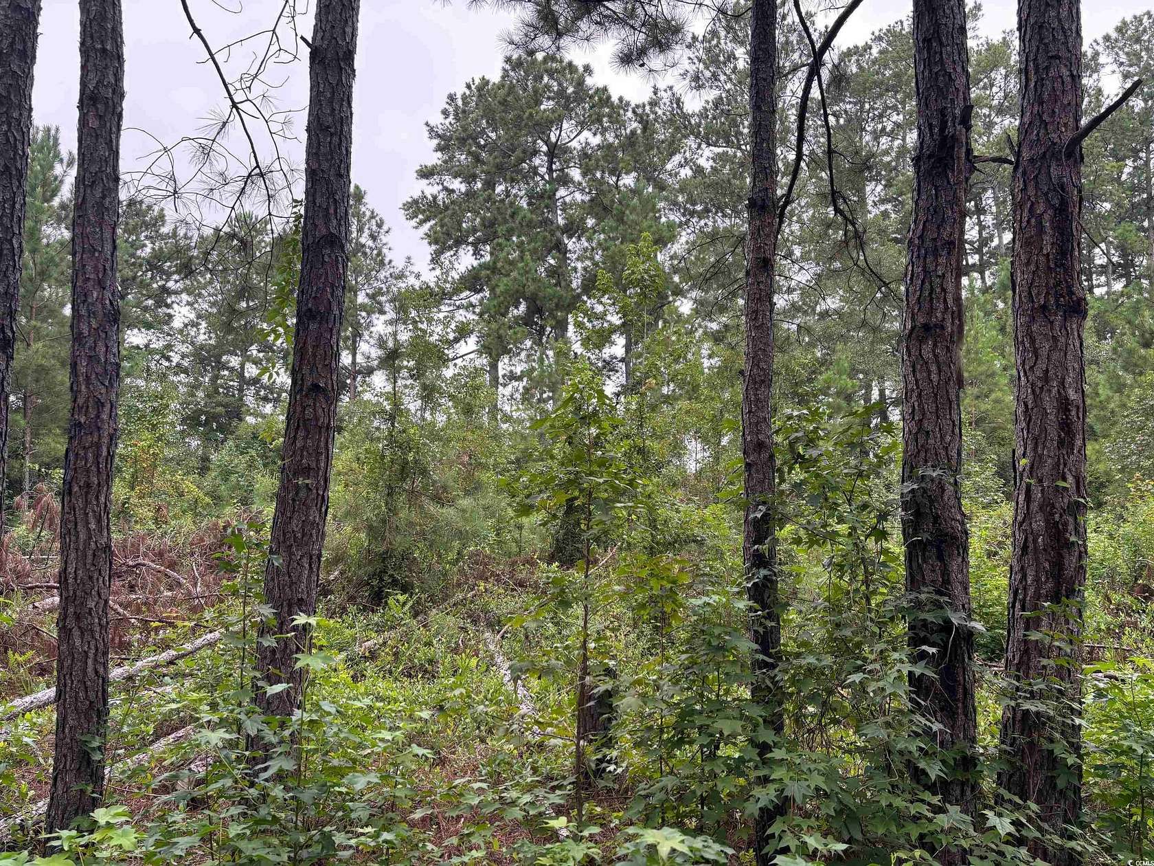 0.24 Acres of Residential Land for Sale in Lake City, South Carolina