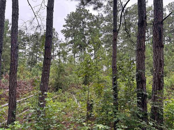0.24 Acres of Residential Land for Sale in Lake City, South Carolina