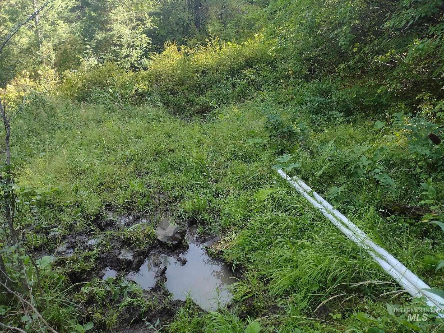 10 Acres of Recreational Land for Sale in Cottonwood, Idaho