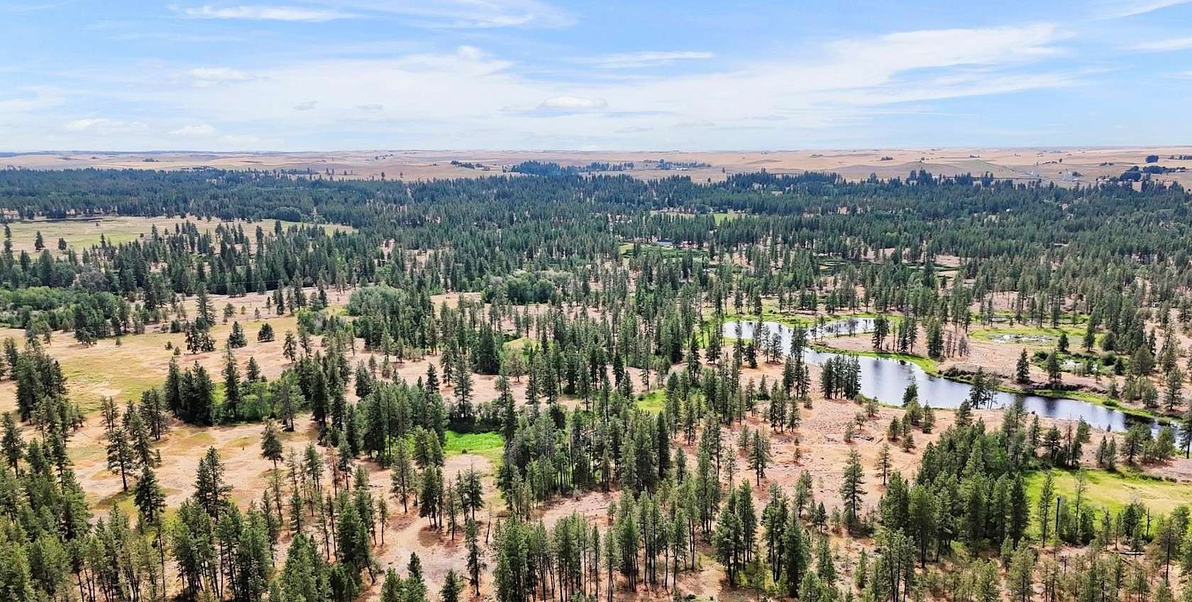 24.2 Acres of Land for Sale in Medical Lake, Washington