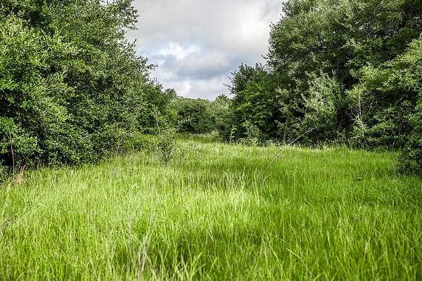 11.4 Acres of Land for Sale in Round Top, Texas
