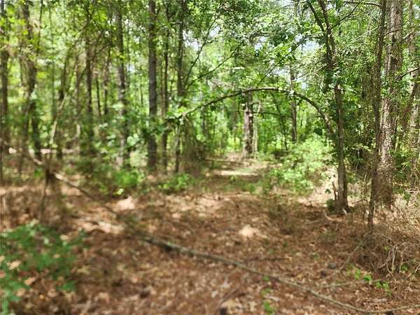 1.5 Acres of Land for Sale in Quitman, Texas