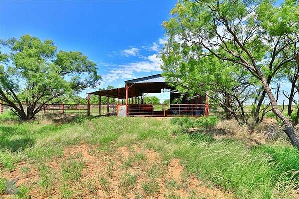 96.7 Acres of Land for Sale in Avoca, Texas