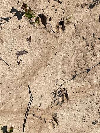 21.6 Acres of Recreational Land for Sale in Jacksboro, Texas