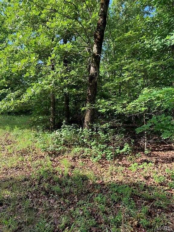 120 Acres of Recreational & Residential Land for Sale in Doniphan, Missouri