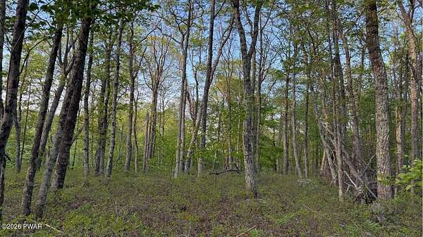 3.52 Acres of Residential Land for Sale in Hawley, Pennsylvania
