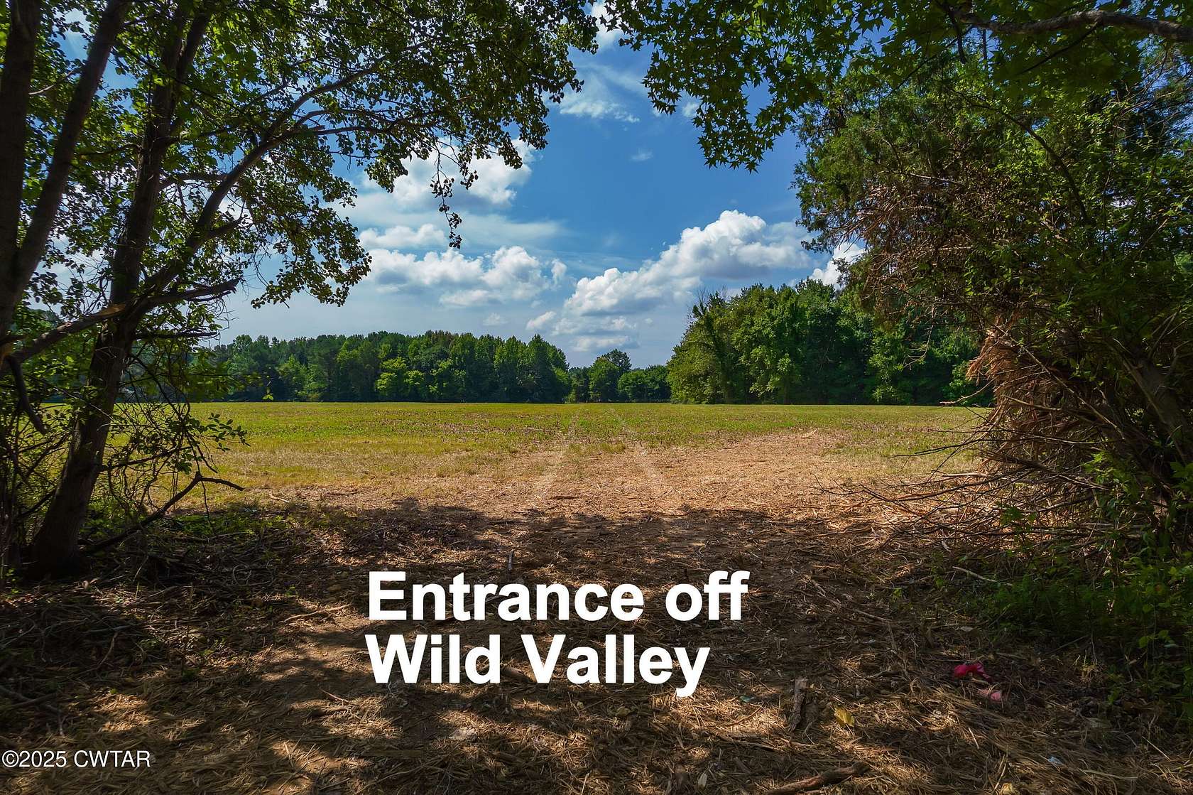 42.2 Acres of Recreational Land & Farm for Sale in Jackson, Tennessee