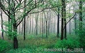 25.2 Acres of Land for Sale in Enfield, Connecticut