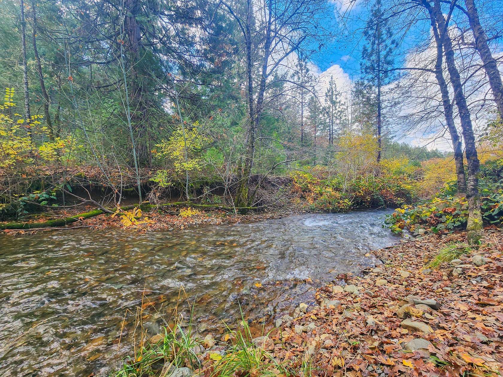 17.6 Acres of Land with Home for Sale in Selma, Oregon