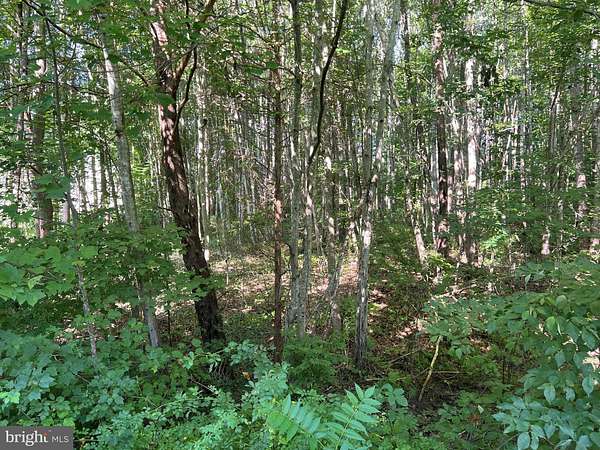 1 Acre of Residential Land for Sale in Bumpass, Virginia