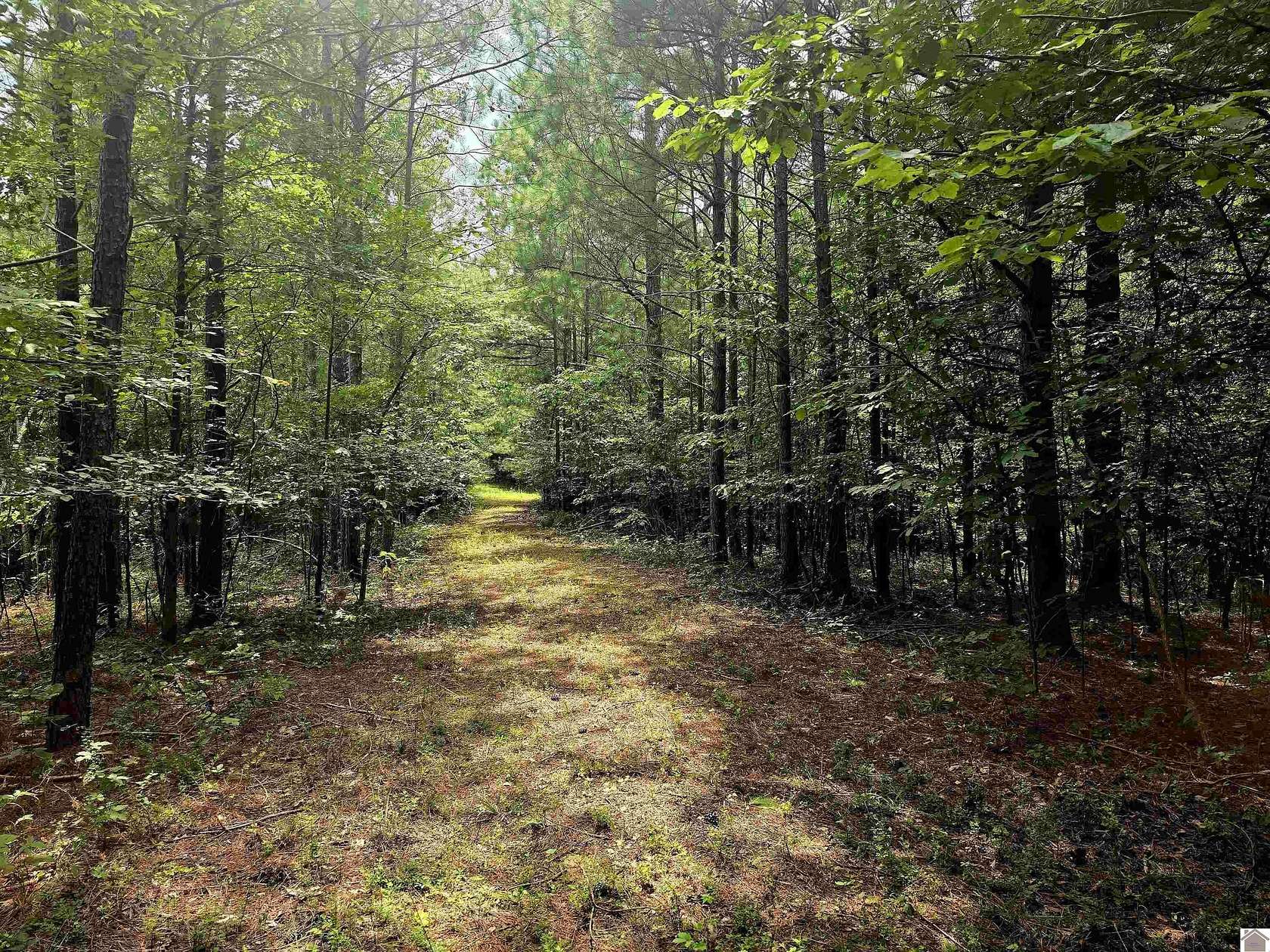 55.6 Acres of Recreational Land & Farm for Sale in Tiline, Kentucky