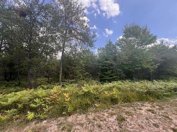13 Acres of Recreational Land for Sale in Indian River, Michigan