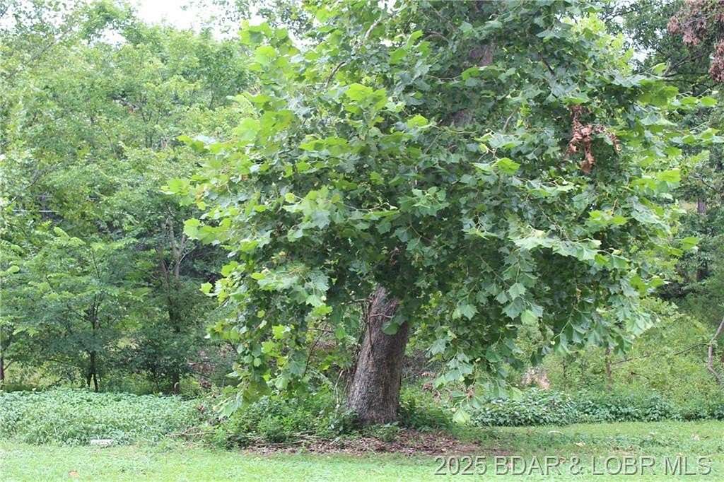 0.75 Acres of Residential Land for Sale in Laurie, Missouri