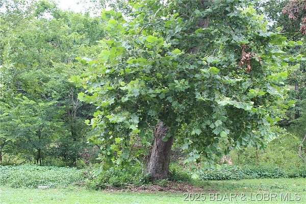 0.75 Acres of Residential Land for Sale in Laurie, Missouri